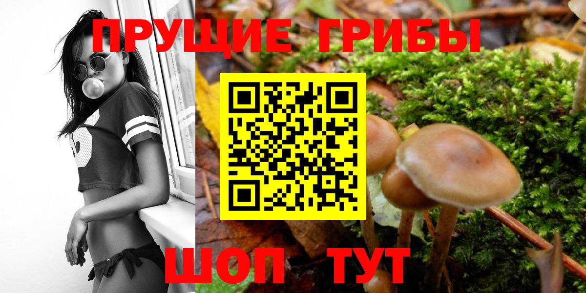 Галлюциногенные грибы MAGIC MUSHROOMS  Вход с VPN  как найти закладки  Псилоцибиновые грибы мицелий  Новотроицк 